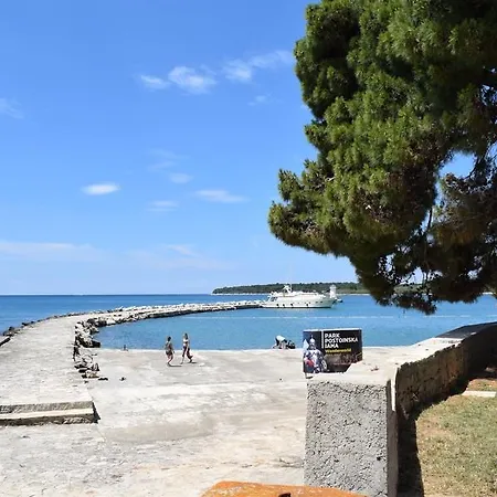 Holly * Novigrad (Istria)